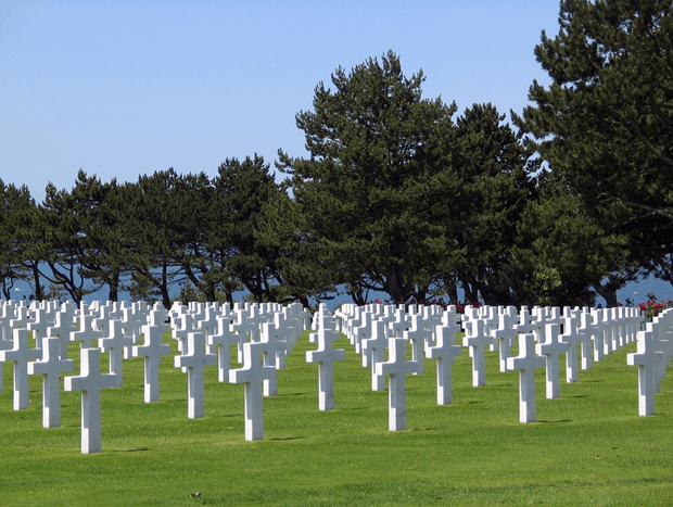 field of crosses