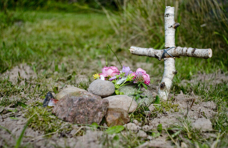 Top 20+ become a tree when you die cost 8 Guide to Green Burial - A Natural Approach to Funerals