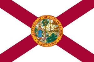 flat florida state flag - usa