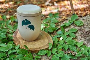 Cremation urn on tree stump